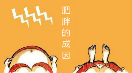 為什么我會變胖？--肥胖的成因