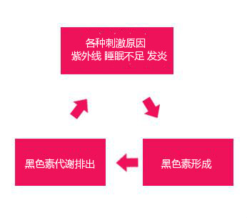 想變白？！你一定要知道的四件事